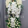 Hai Thế Giới T107