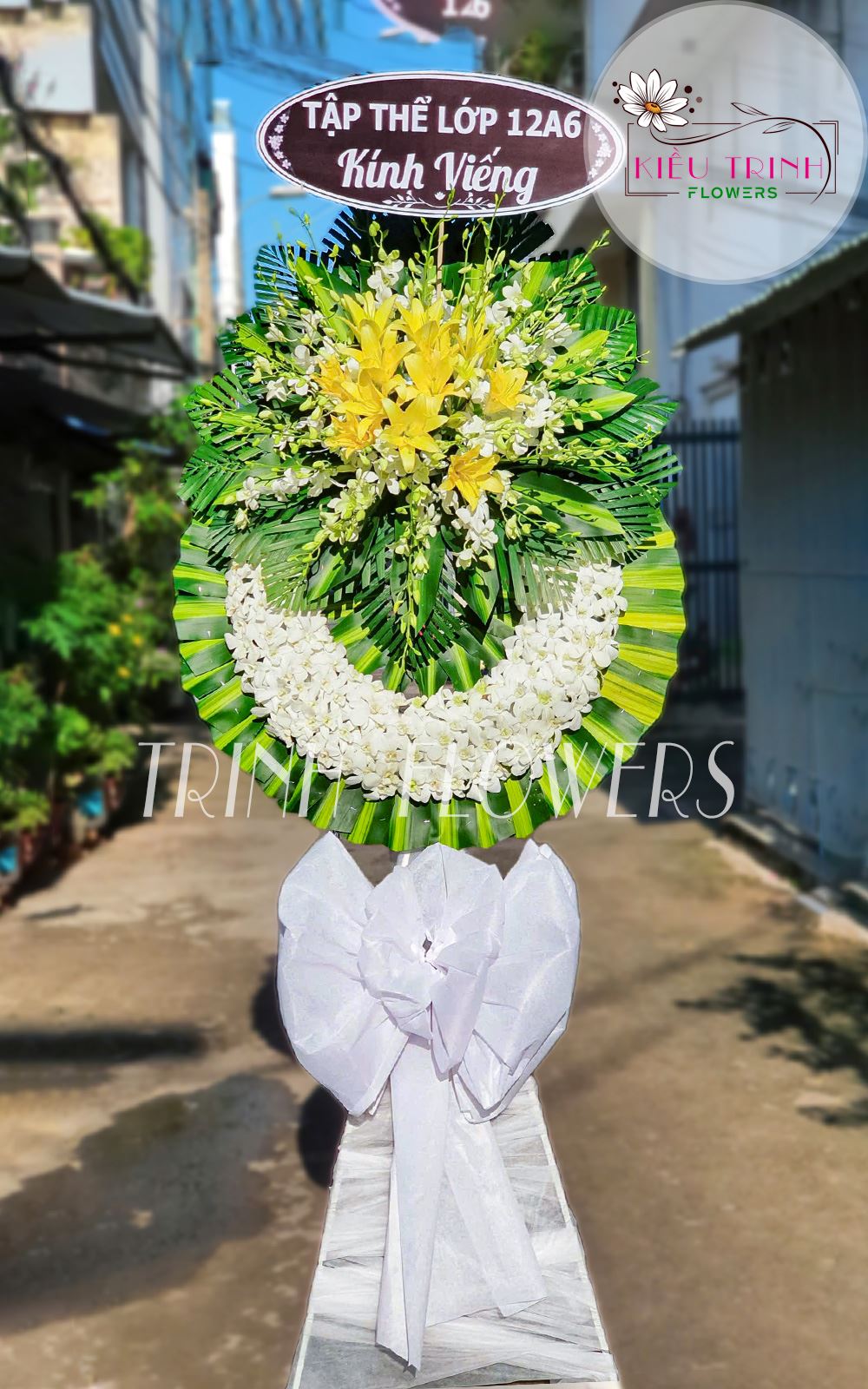 Giọt Sầu T166