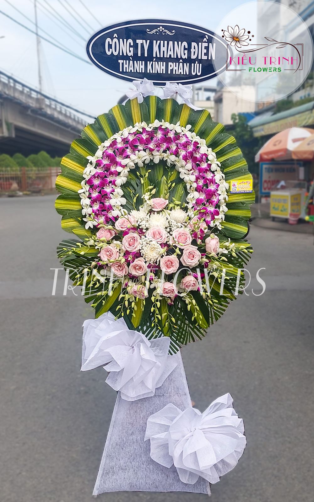 Tan Thu T171