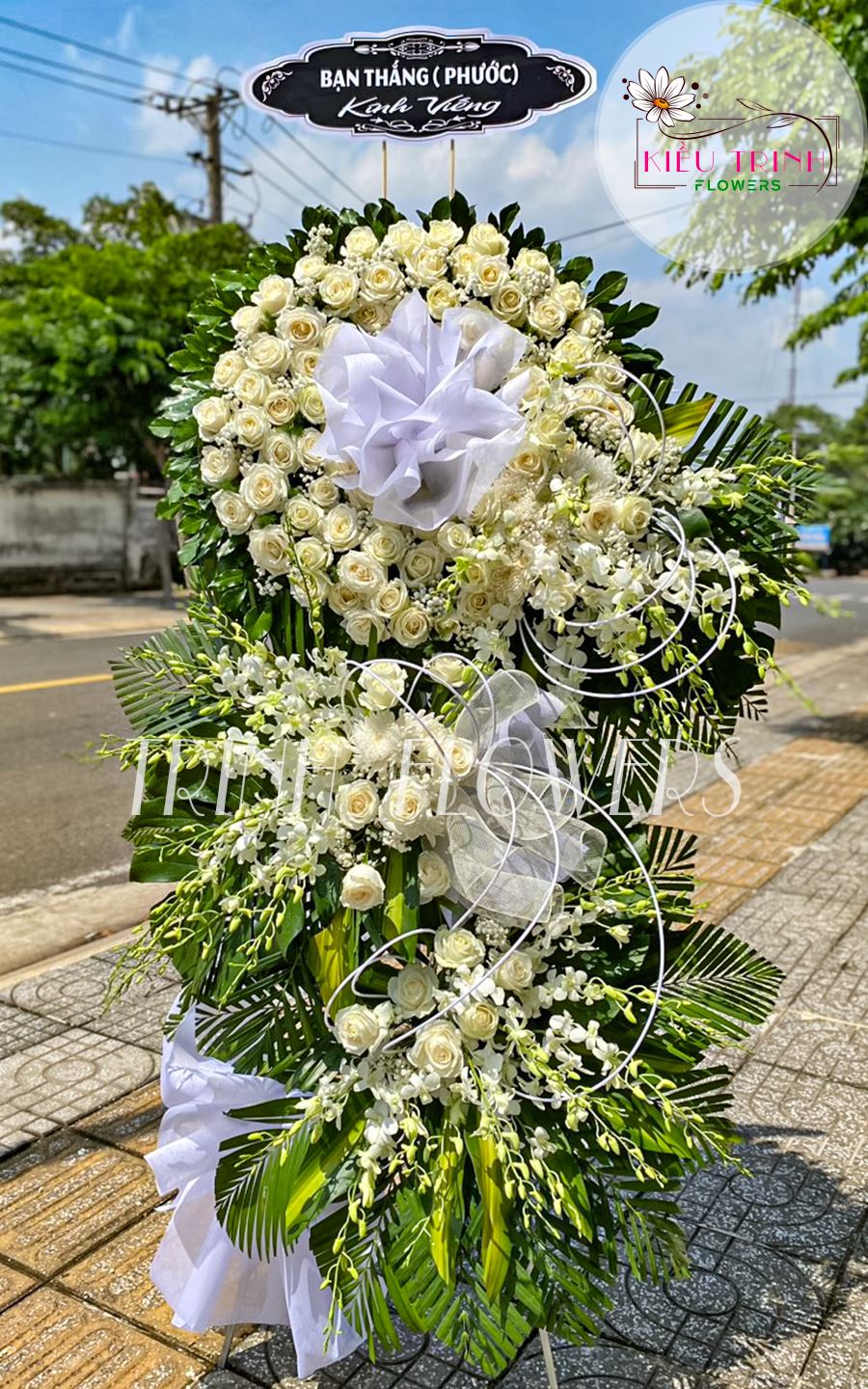 Lắng Đọng T197