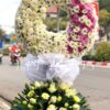 Ánh Chiều Tà T263
