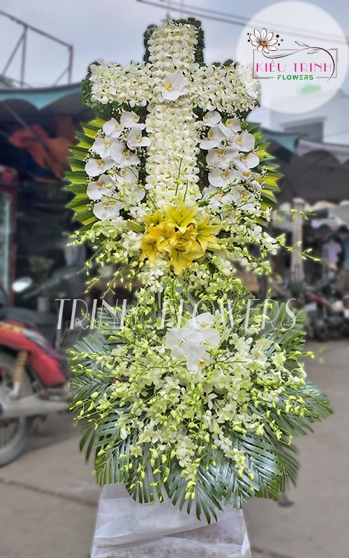 Hạ Trắng T398