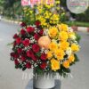 Giấc Mơ Xanh G155