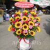 Giấc Mơ Tím G211