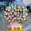 Lời Cảm Ơn G242