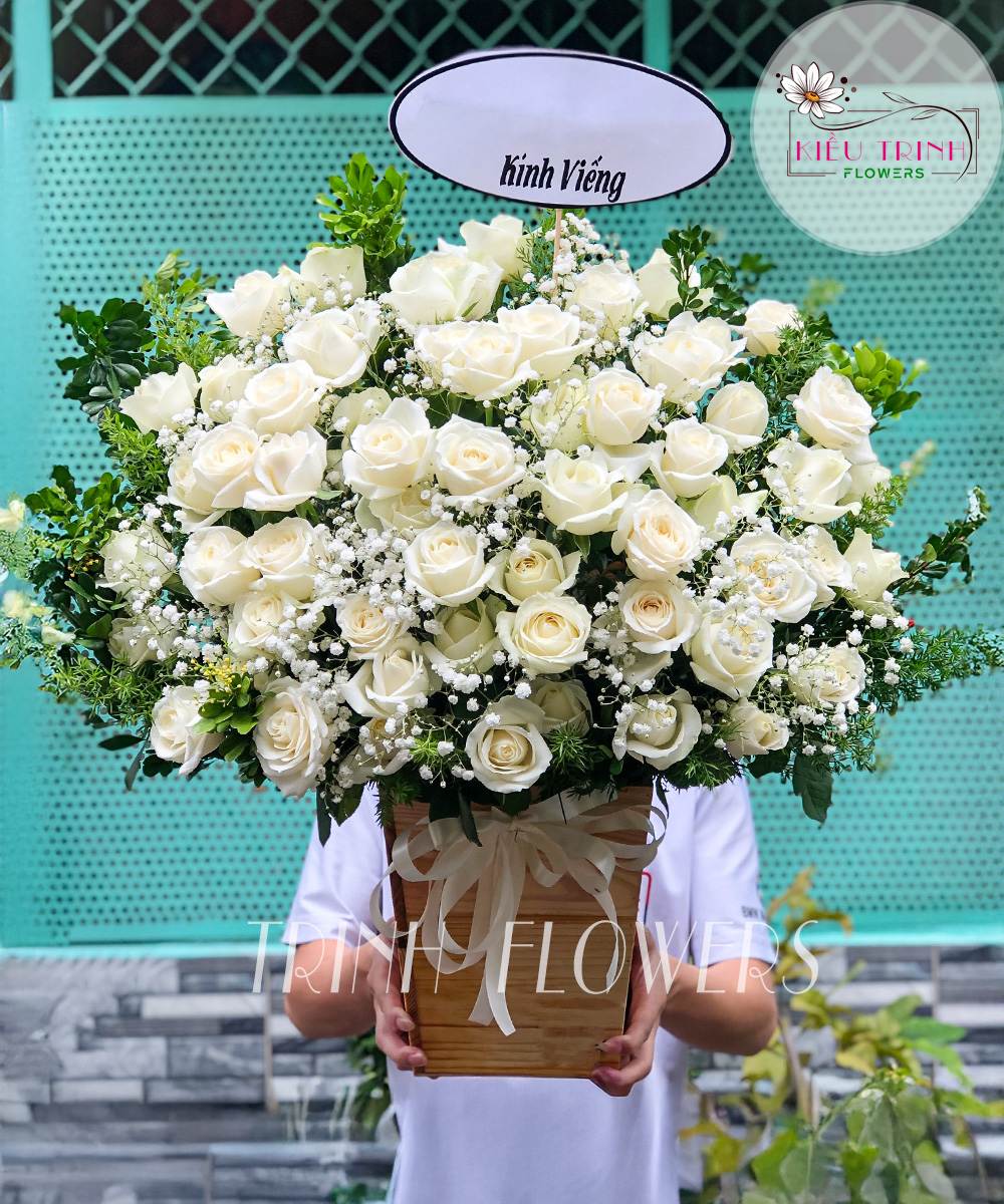Chân Trời Xa G1103