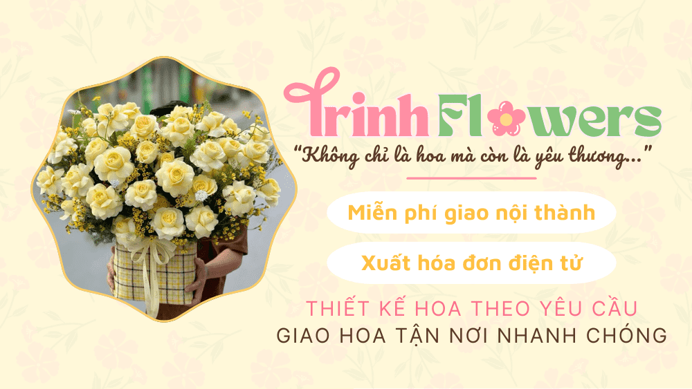 BANNER BAI VIET 01