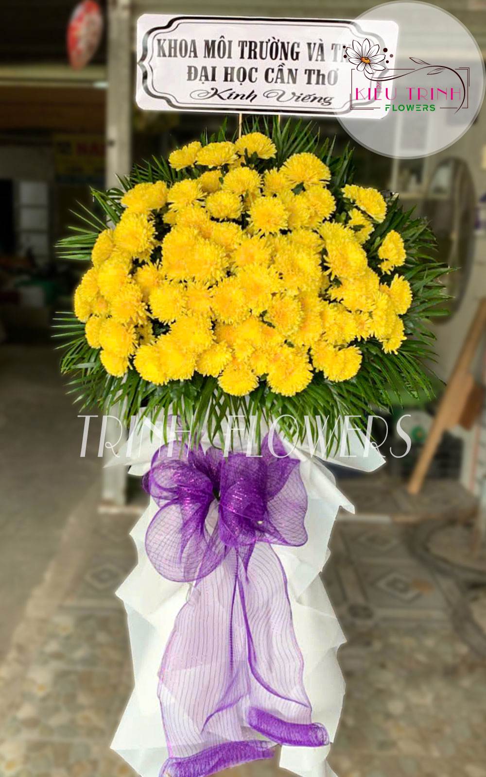 Tâm Thành Kính T418